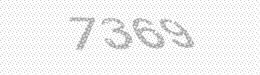Visual security code — type the characters shown in the image